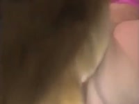 Animal Porn